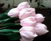 tulipas de tecido